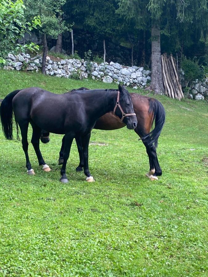 Posestvo Tmzek Villa Bovec Kültér fotó