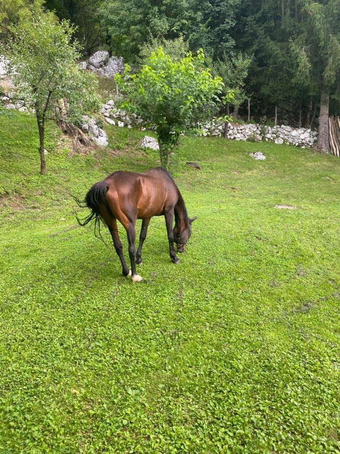 Posestvo Tmzek Villa Bovec Kültér fotó